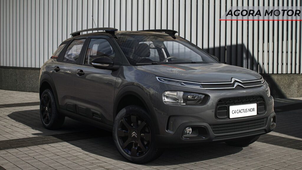 C4 Cactus Noir.