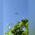 Homem é acusado de perseguir mulher com avião por anos.