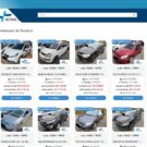 Detran ES alerta para site de leilão falso.