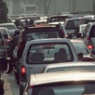 Leis exóticas e curiosas.