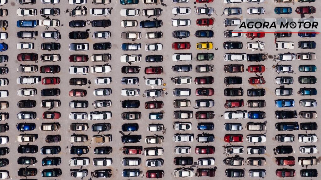 dicas sobre transporte de veículos