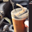 Copo Stanley sobrevive a incêndio no carro e presidente vai dar um carro novo para a dona!