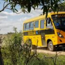 Volkswagen se destaca fornecendo 5.600 ônibus escolares para Programa Governamental.