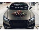 auditt-2024-destaque