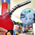 gasolina-2024-destaque