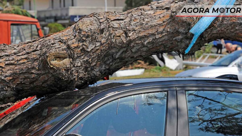 O que fazer se uma árvore cair sobre o seu carro Dicas de prevenção e orientações de segurança