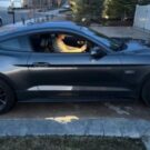 Pai presenteia filho com Mustang, para ele aproveitar seus últimos dias de vida com estilo.