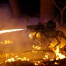 Cachorro robô com lança-chamas.