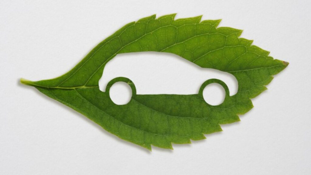 Folha em carro.