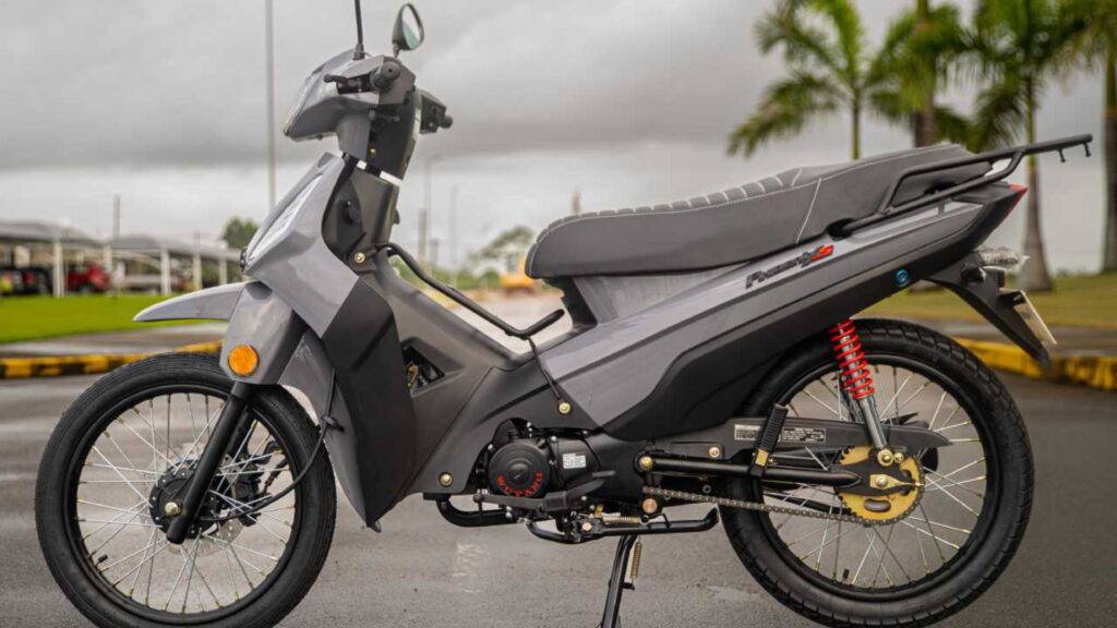 Shineray PHOENIX S 2025 cinza.