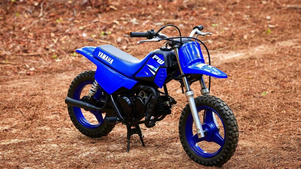 Yamaha PW50 2025 na terra.