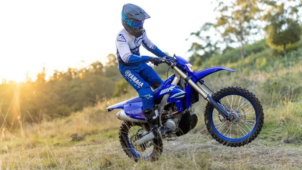 Yamaha WR250F 2025 no mato.