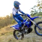Yamaha WR250F 2025 no mato.