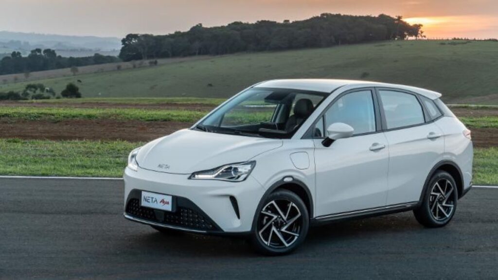 Neta Aya em gramado.