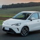 Neta Aya em gramado.