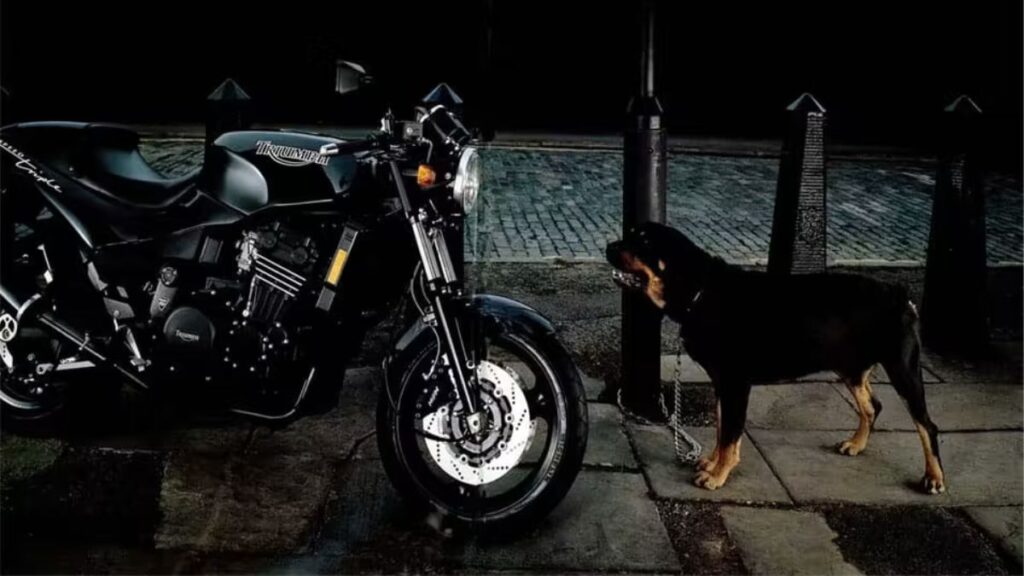 Triumph Street Triple 765 2025 perto de cachorro.