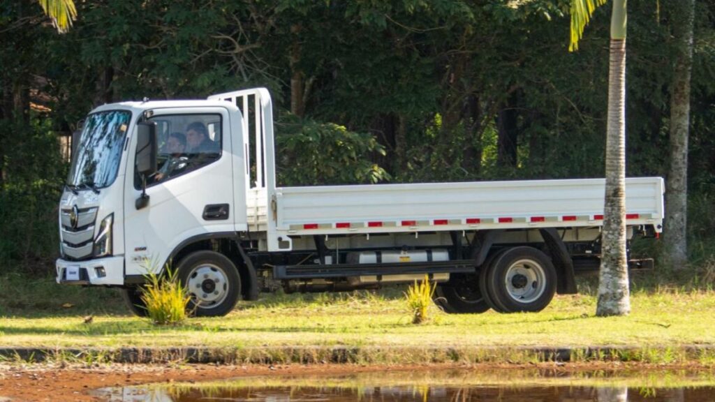 Lateral do Foton Aumark S 315 2025.