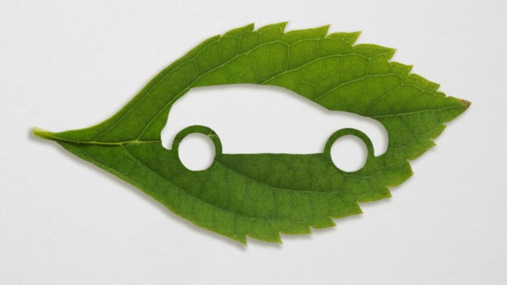 Carro desenhado no meio de uma folha verde.